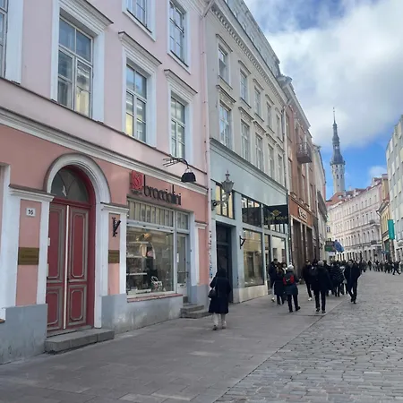 Apartment Antique Aparment In Old Town *
